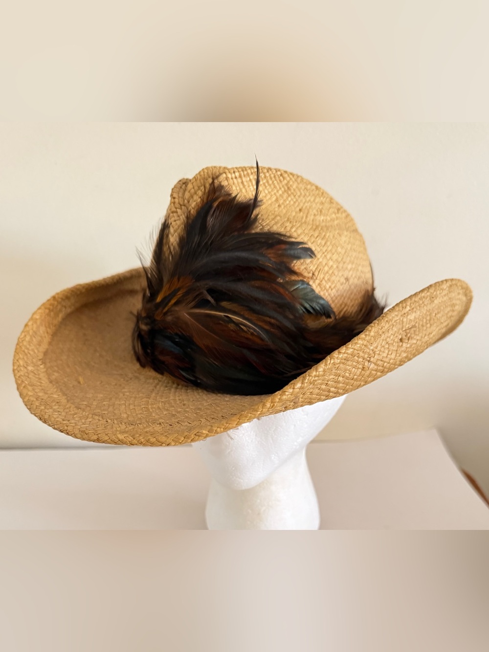 Shady Brady Cowboy Cowgirl Western Hat